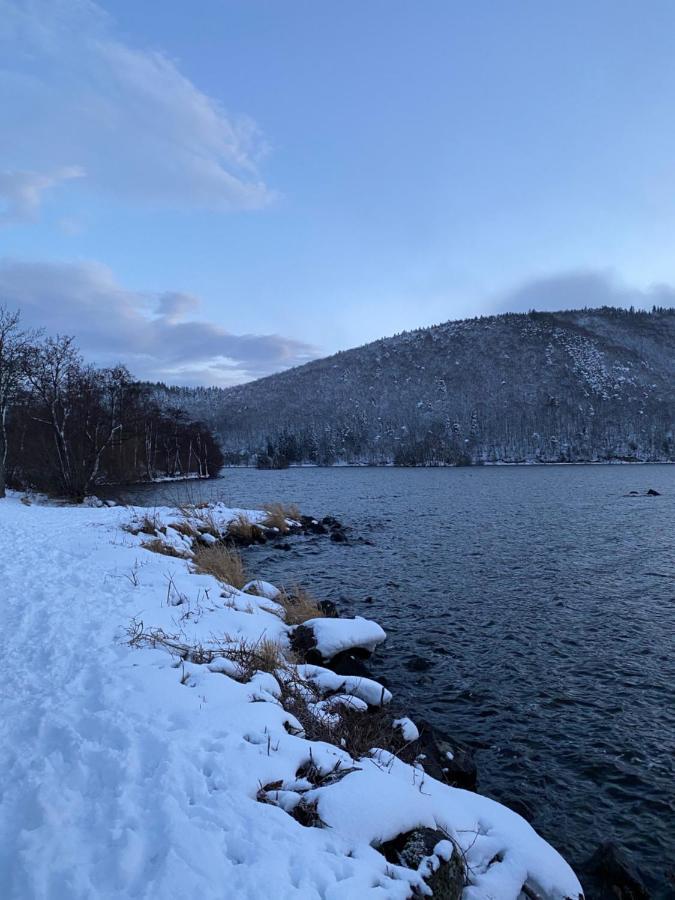 Hotel La Bonne Hotesse Chambon-sur-Lac Eksteriør billede
