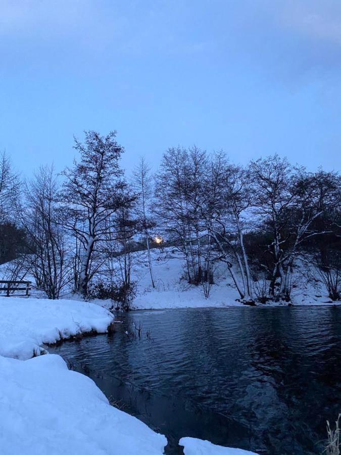 Hotel La Bonne Hotesse Chambon-sur-Lac Eksteriør billede