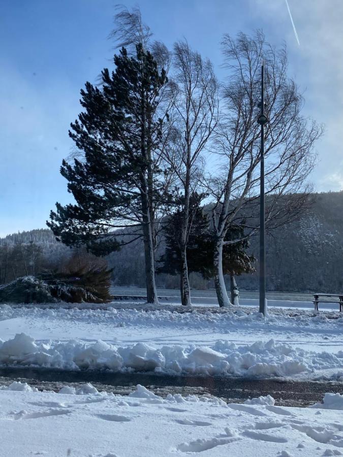 Hotel La Bonne Hotesse Chambon-sur-Lac Eksteriør billede