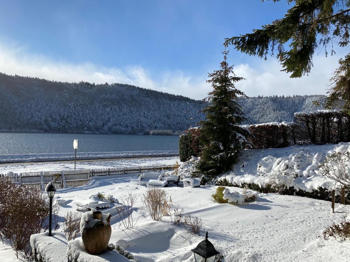 Hotel La Bonne Hotesse Chambon-sur-Lac Eksteriør billede